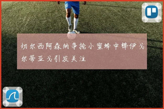 切尔西阿森纳争抢小蜜蜂中锋伊戈尔蒂亚戈引发关注