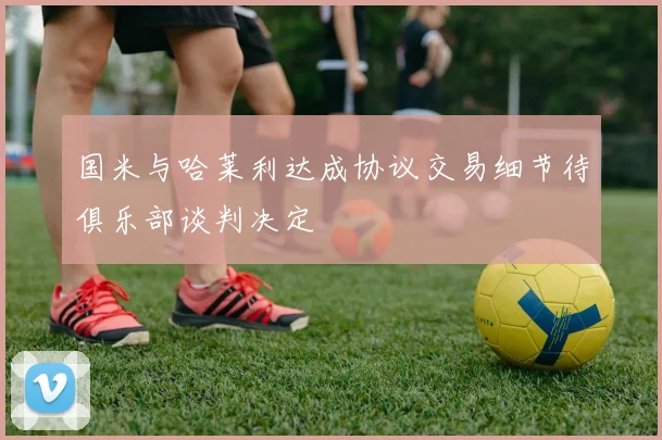 国米与哈莱利达成协议交易细节待俱乐部谈判决定