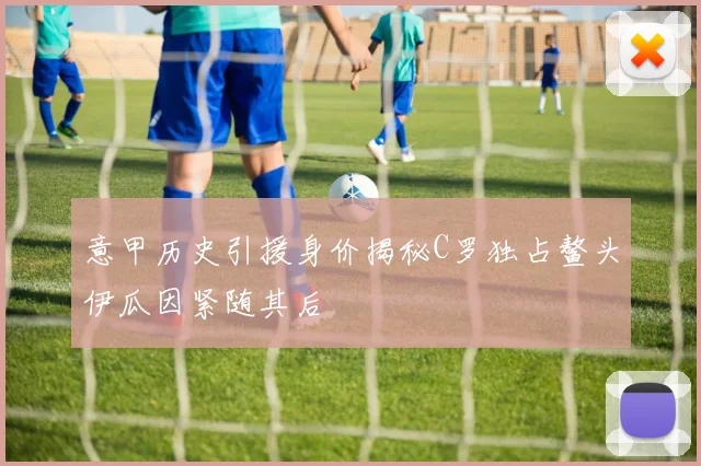 意甲历史引援身价揭秘C罗独占鳌头伊瓜因紧随其后